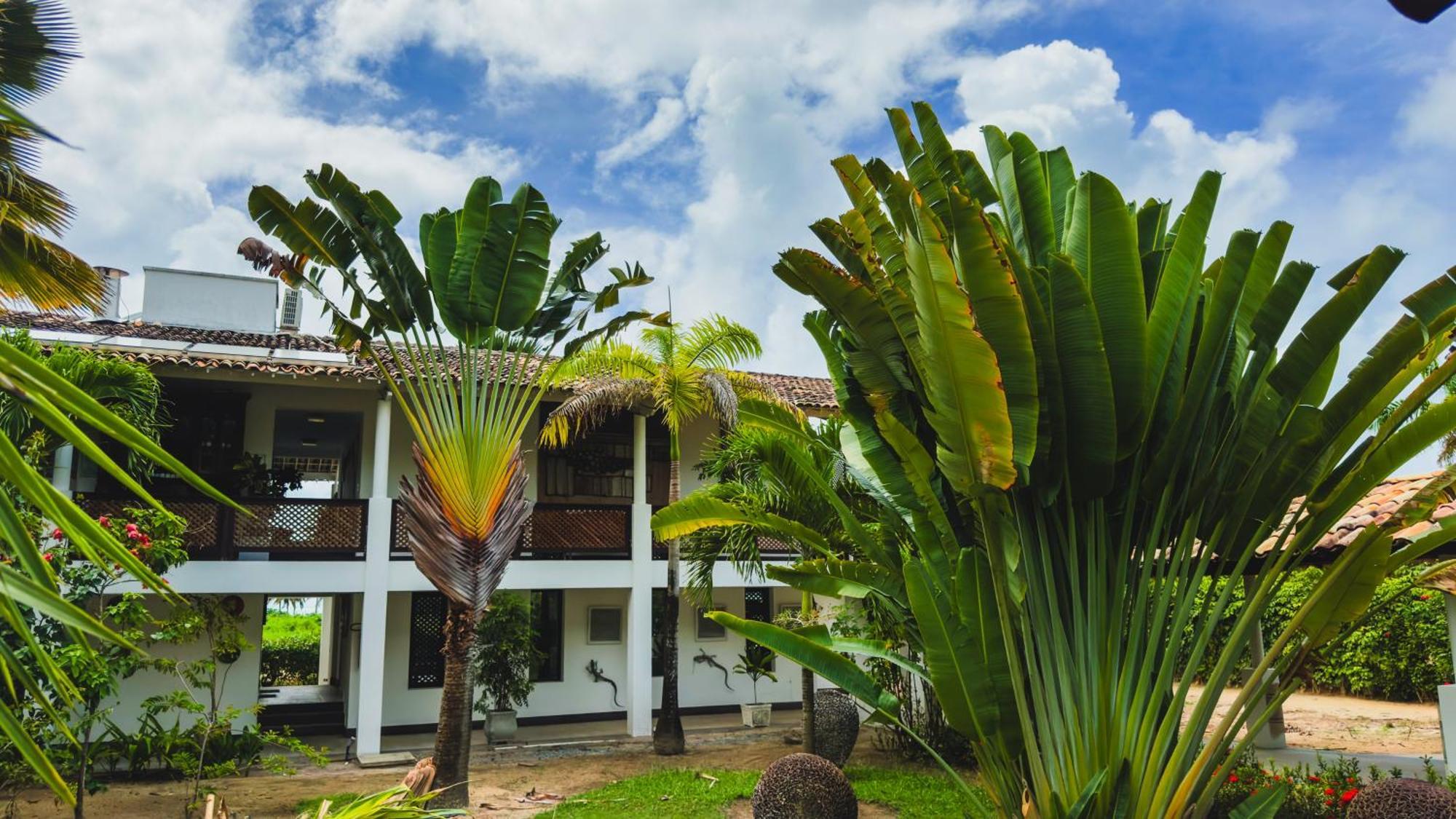 فندق Casa Acayu São Miguel dos Milagres المظهر الخارجي الصورة