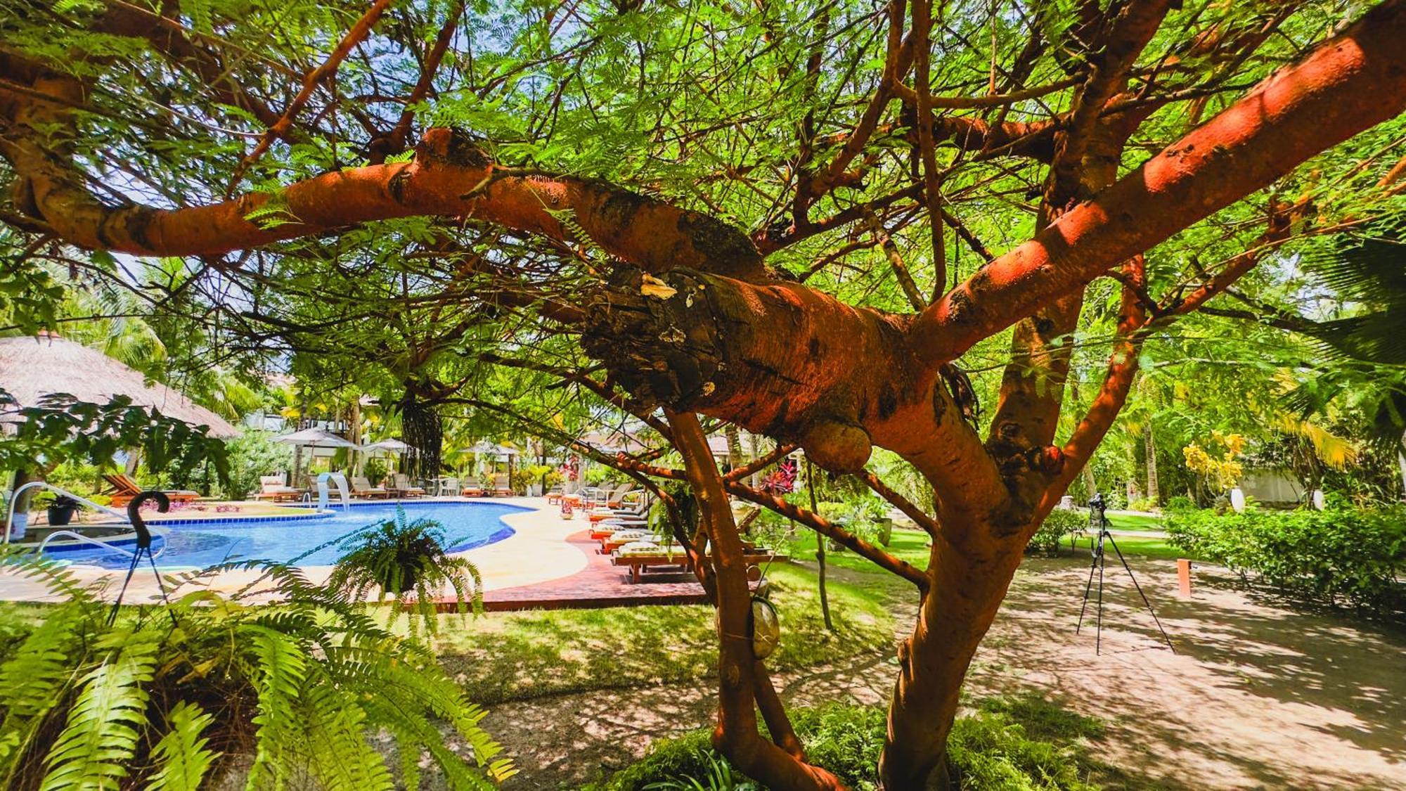 فندق Casa Acayu São Miguel dos Milagres المظهر الخارجي الصورة